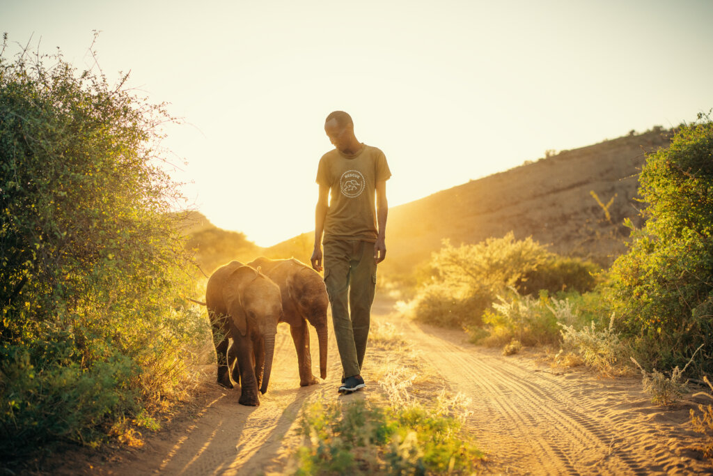 Sunrise walk