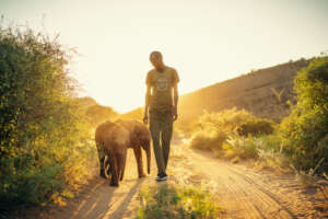 Sunrise walk