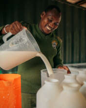 Keeper preparing milk