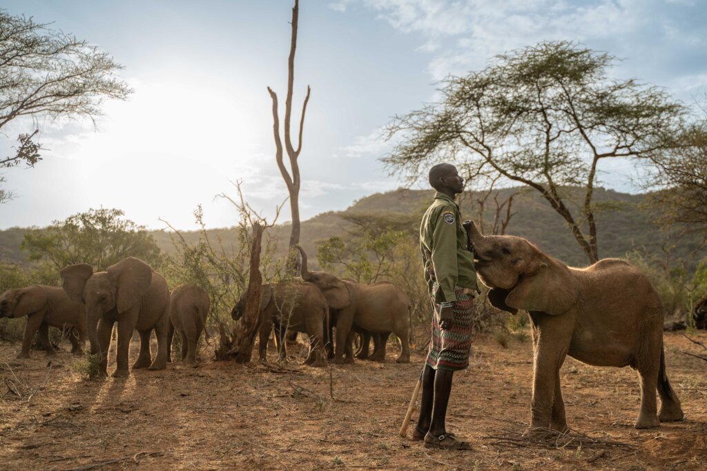Reteti Elephant Sanctuary