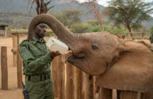 Reteti Elephant Sanctuary