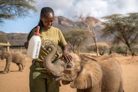 Reteti Elephant Sanctuary