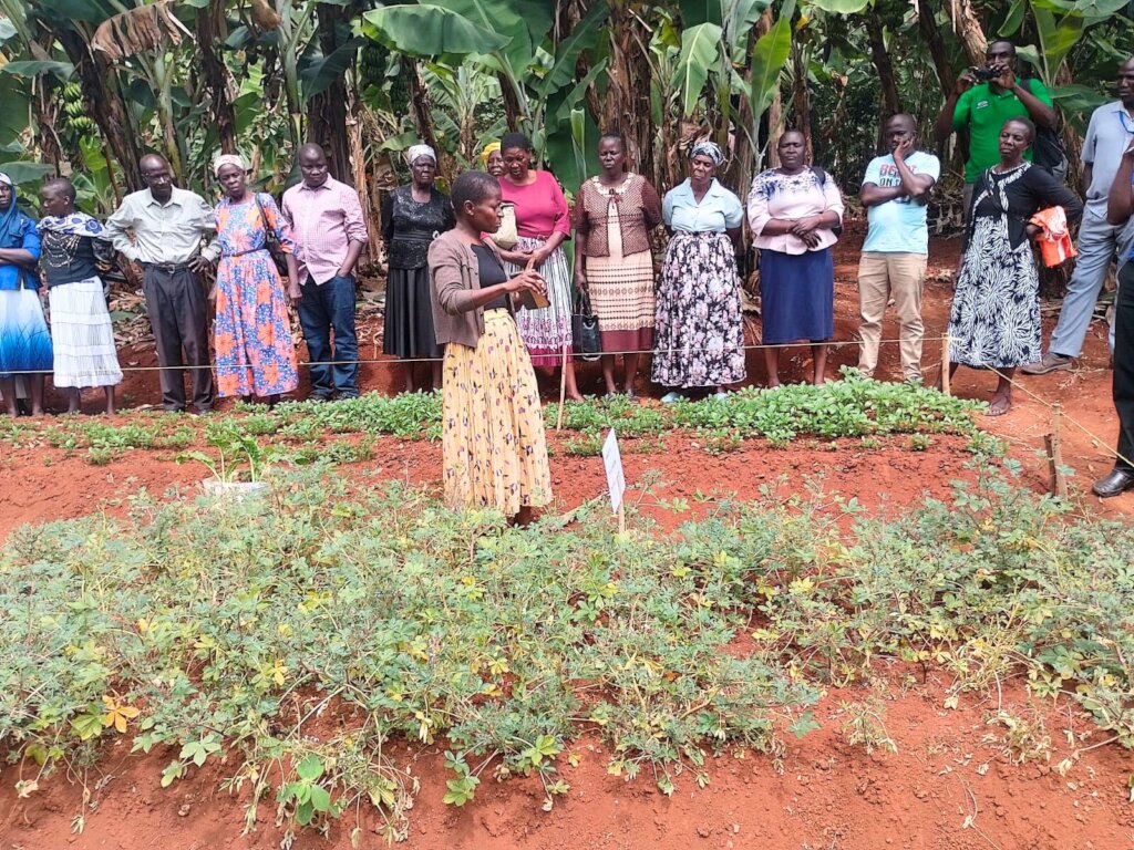 Help 500 Smallholder Women Farmers in Kenya