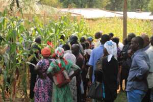 Creats International farmer training