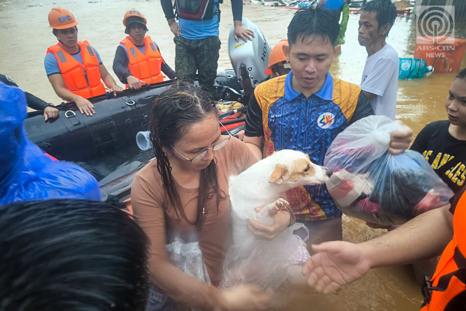 Urgent Support for Typhoon Gaemi Relief Efforts