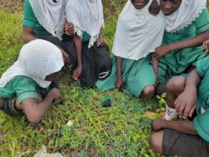 Soil science