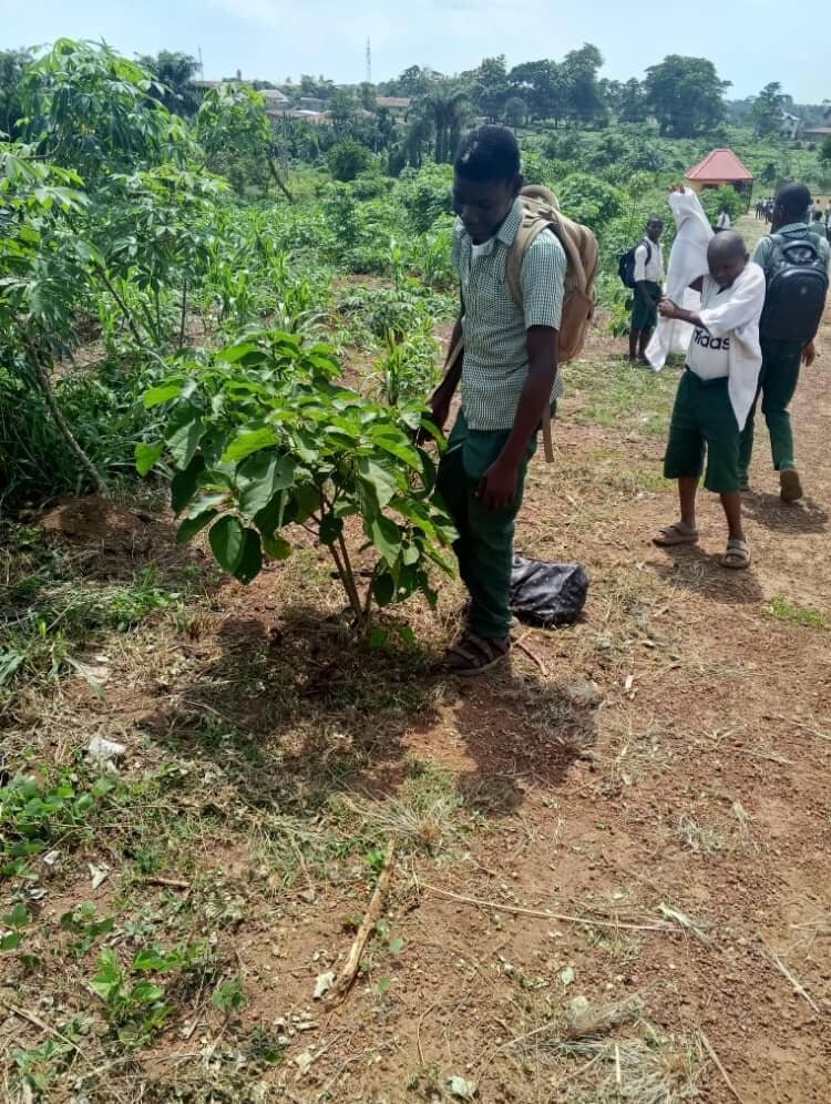 HELP BUILD GREENER MINDS FOR A SUSTAINABLE FUTURE