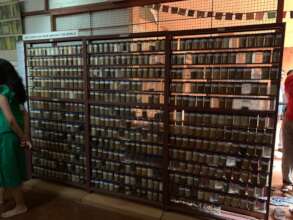 Earth samples from around the world in Auroville