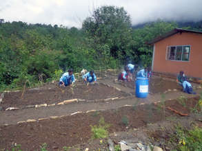 Student developing Herbal Garden in Majhgau School
