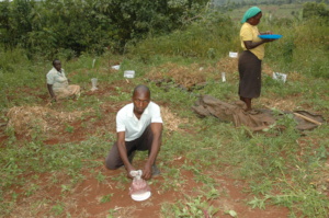 Women supporting in harvesting in SHCAN garden