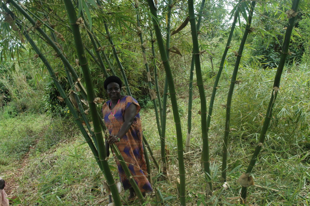 Women fighting Climate Change through Agroecology