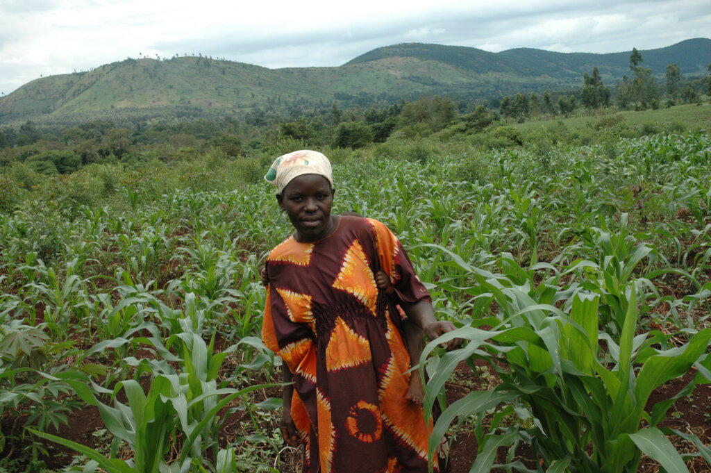 Women fighting Climate Change through Agroecology