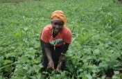 Women fighting Climate Change through Agroecology