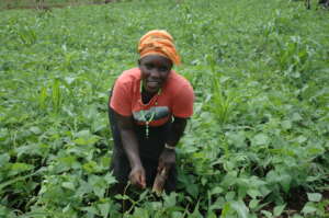 Women fighting Climate Change through Agroecology