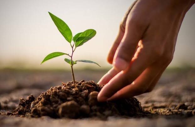 Plantation Drive for Independence Month