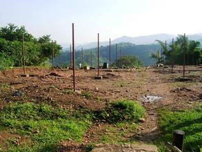 Picture of New Nursery