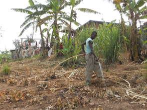 Current Irrigation Practice
