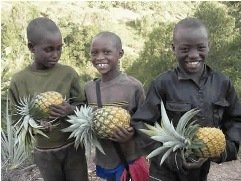 Sustainable Irrigation for Rwandan Orphanage