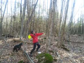 Social distance disc golf in the Maine woods