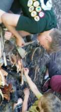 Learn to build a fire