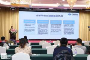 Ms. Wang Xiangyi, Vice Chair of CANGO