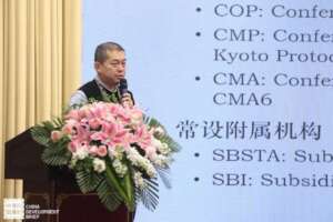 Professor Teng Fei, Tsinghua University