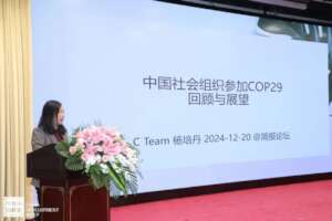 Ms. Yang Peidan, Executive Director of the C Team