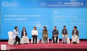 Roundtable 3 - Cross-issue NGO Partnerships