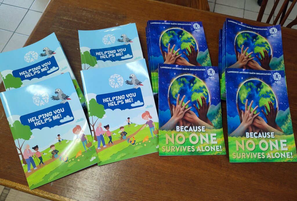 Young readers and teen books