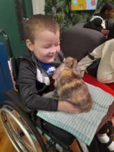 Artem having a lovely time at a farm