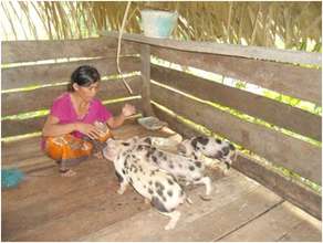 Wife of a SHG member feeding their piglets, Kroach