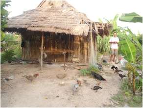 Feeding chicken by SHG member at Kroach village
