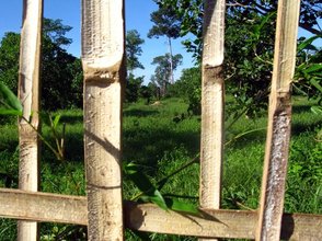 A view through the boundaries