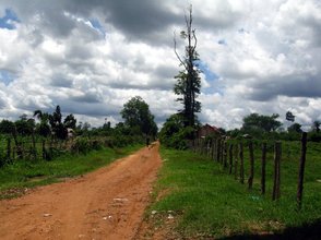 Long walk to the plantation