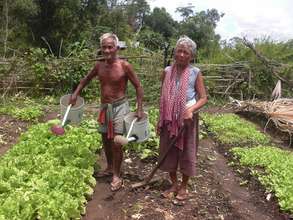 Vegetable growing