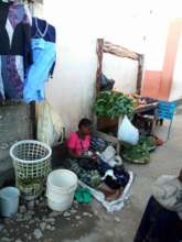 Getting fresh vegetables ready for the market