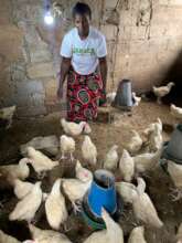 A poultry business