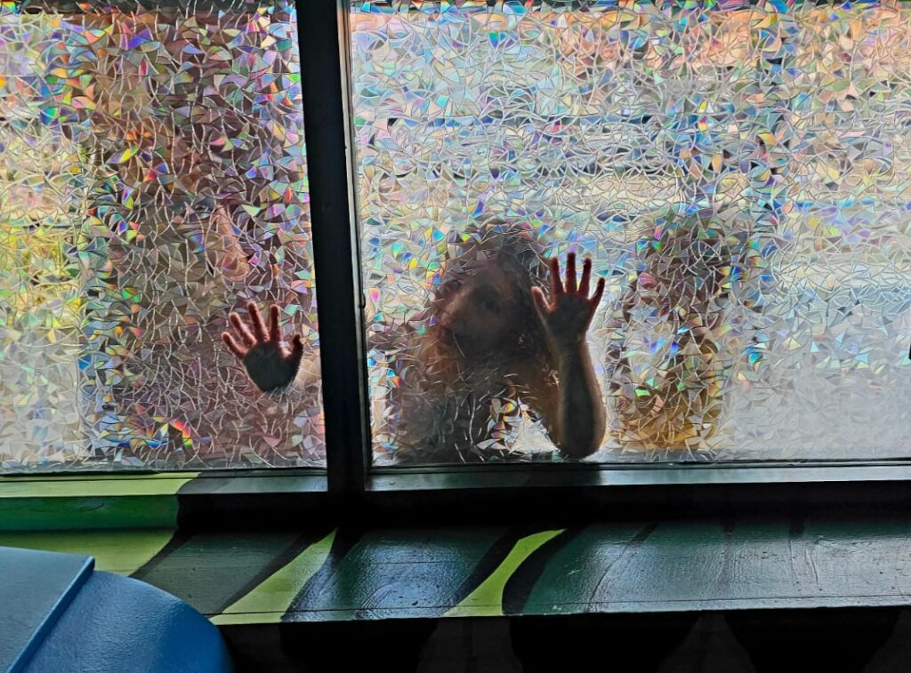 Museum Inclusion Fund