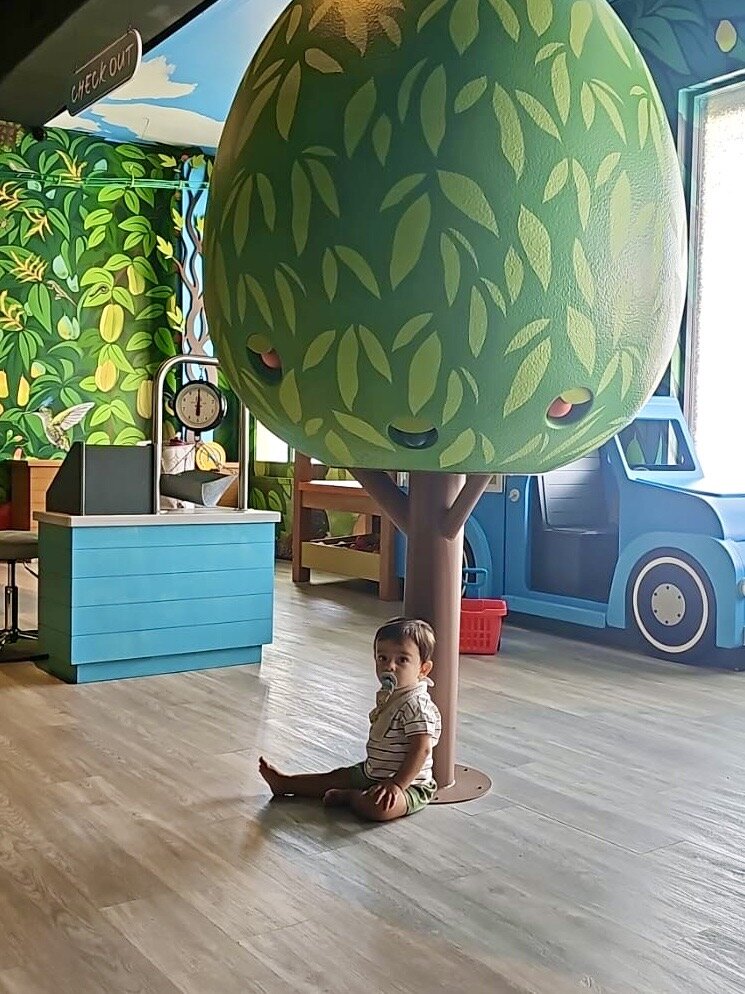 Museum Inclusion Fund