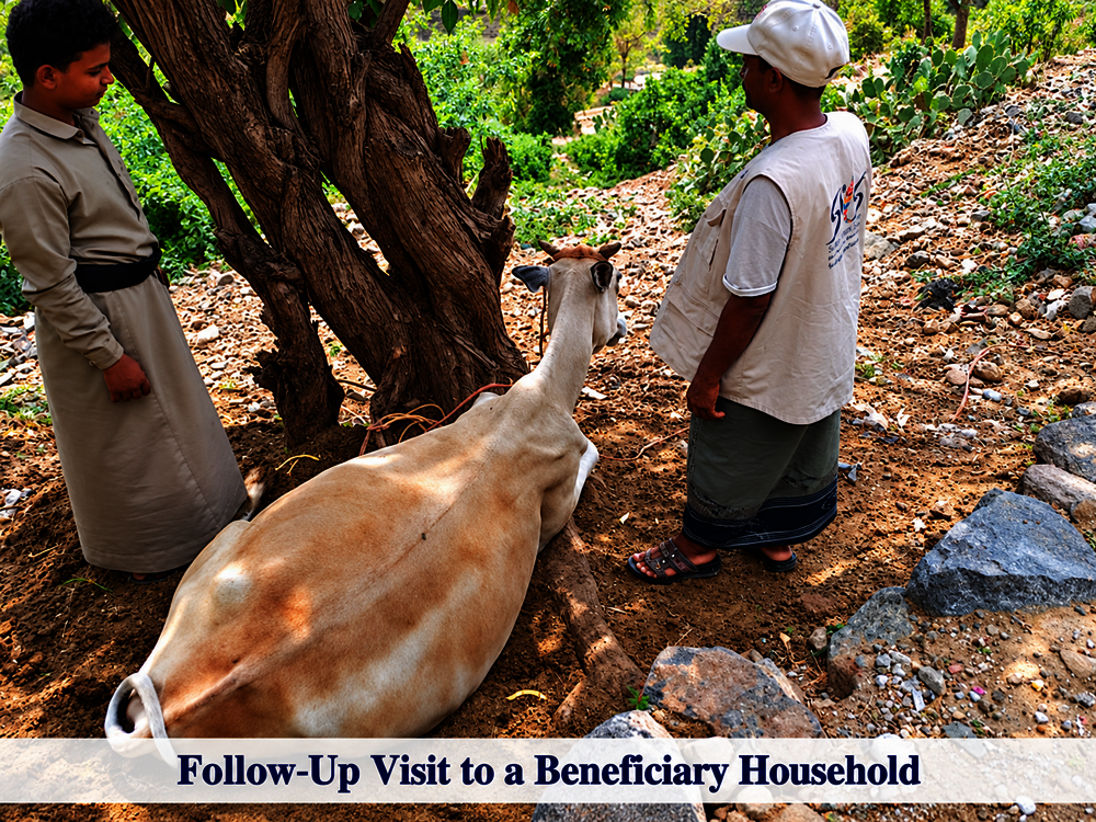 FOLLOW UP VISIT