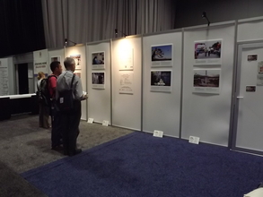 Viewing the TBPV Gallery at AIDS Con., WA DC
