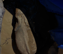 Sendiba stuck in the well