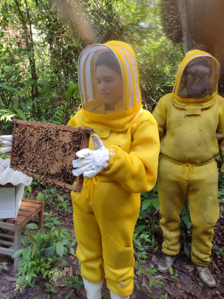 New opportunity to help the Amazon Rainforest!