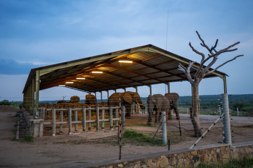 Solar Campaign - Keep the Power on at HERD