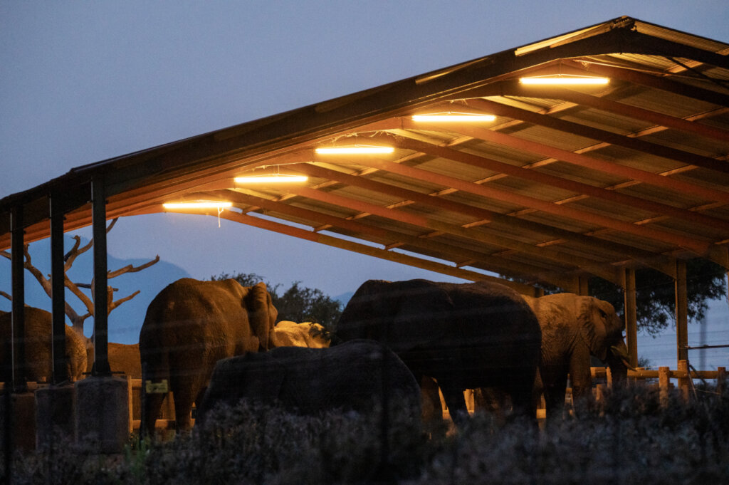 Solar Campaign - Keep the Power on at HERD