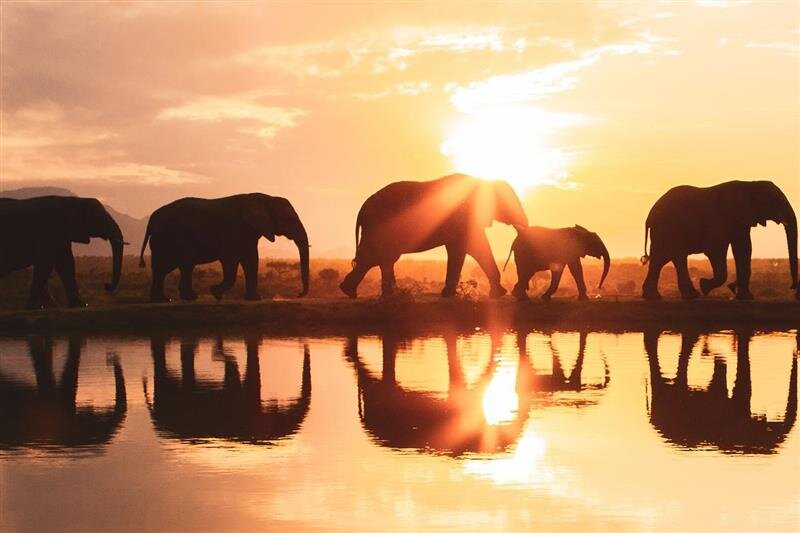 Solar Campaign - Keep the Power on at HERD