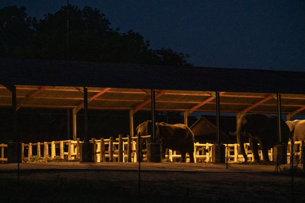 Solar Campaign - Keep the Power on at HERD