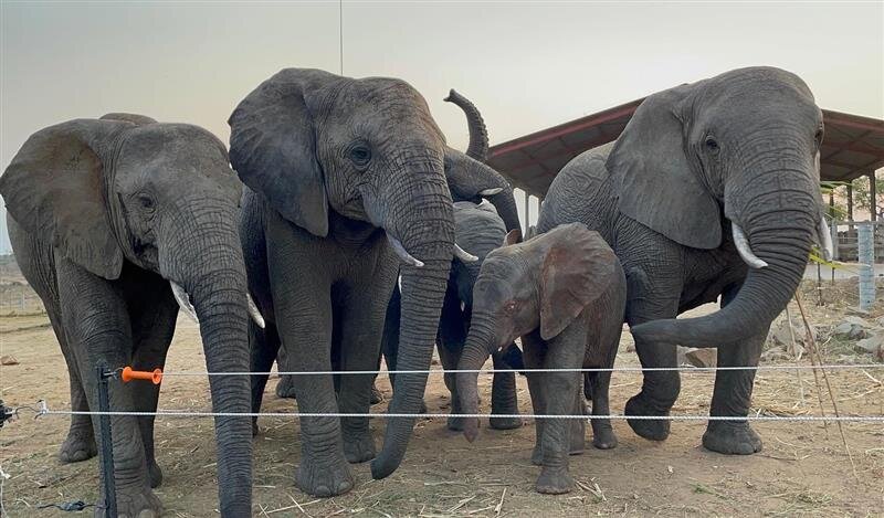 Solar Campaign - Keep the Power on at HERD