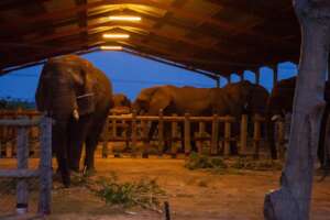 Solar Campaign - Keep the Power on at HERD