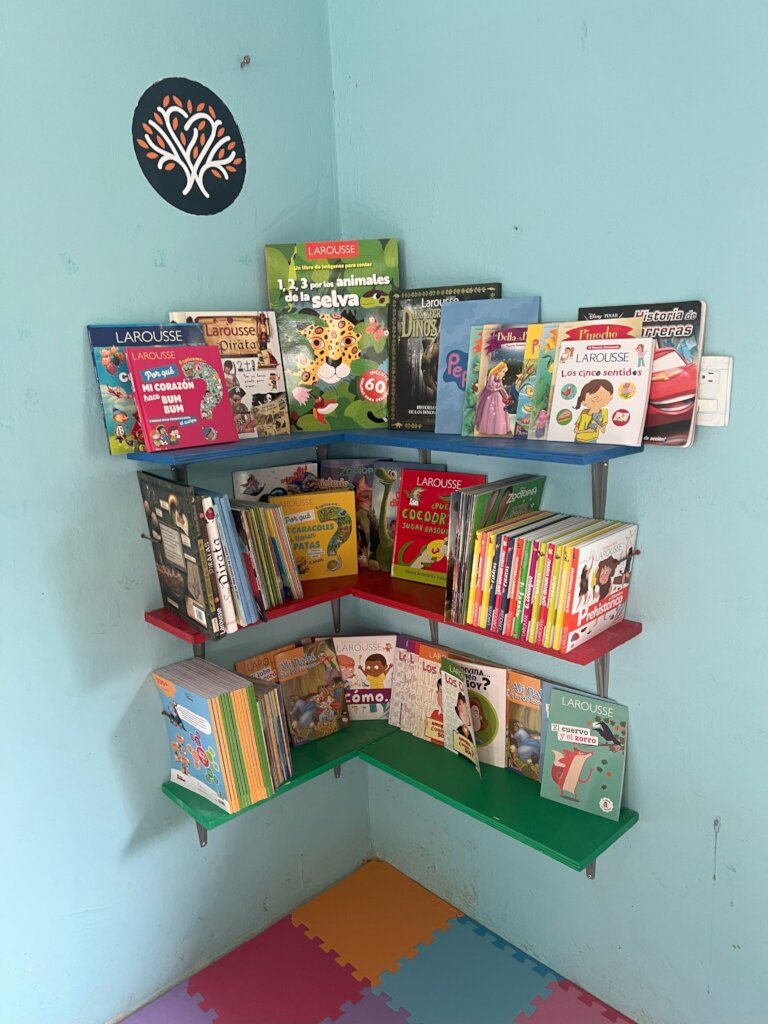 Transforming 3 classrooms for indigenous children